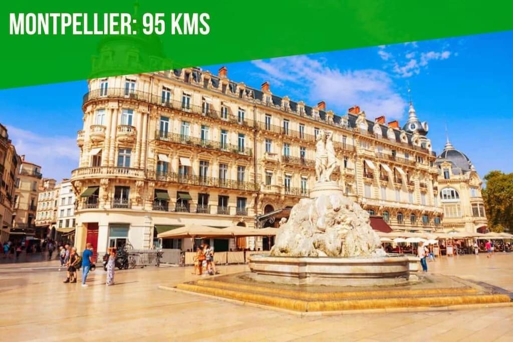 Appartement Aux Marches Du Palais - Ac Clim - Spacieux - Terrasse - Wifi Avignon